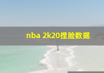 nba 2k20捏脸数据